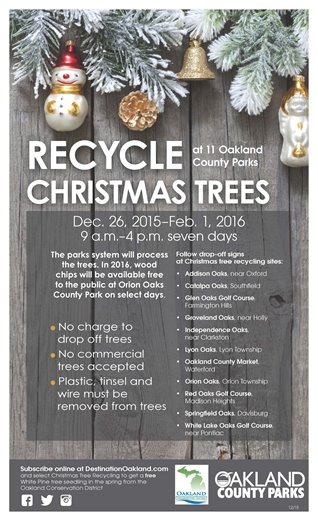 Recycle Christmas Trees