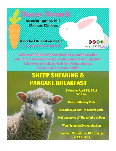 Bunny Brunch and Sheep Shearing Flyer