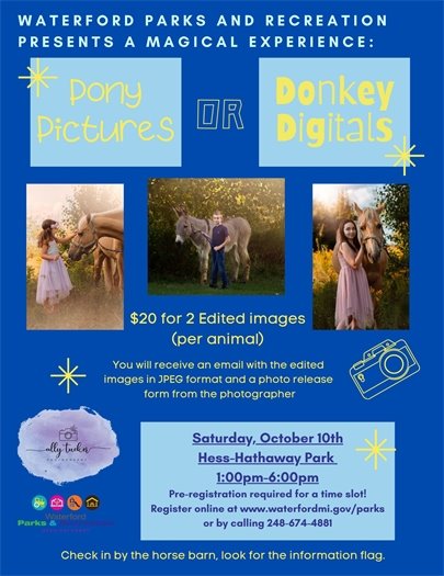 Pony Pictures or Donkey Digitals