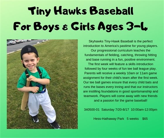 Tiny Hawks Baseball
