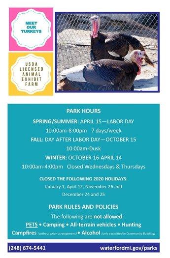 Farm Animal Sponsorship