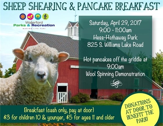 Sheep Shearing & Pancake Breakfast