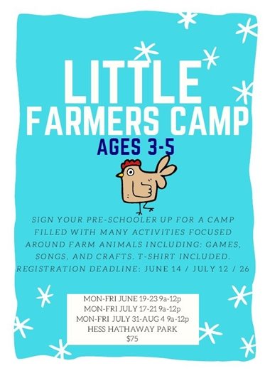 Little Farmers Camp