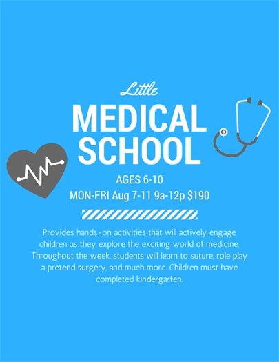 Little Medical School Camp