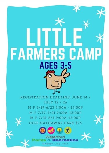 Little Farmers Camp