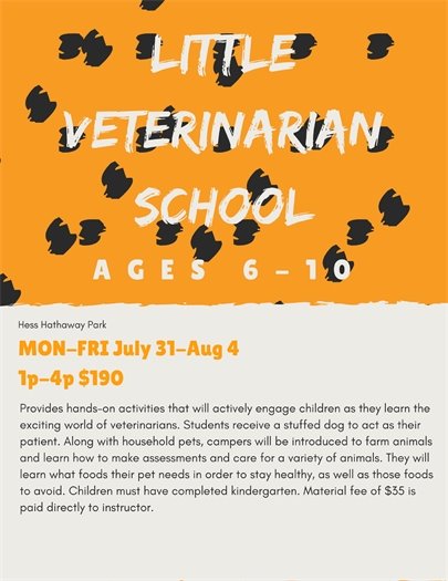 Little Veterinarian School