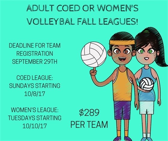 Adult Volleyball