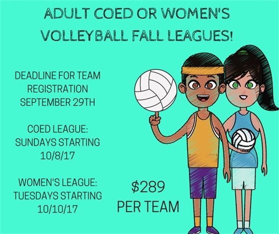 Adult Volleyball