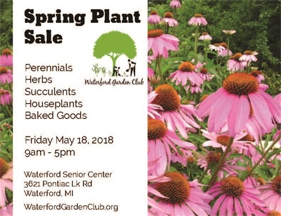 spring plan sale