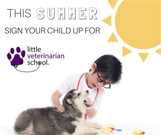 Little Veterinarian School
