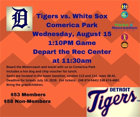 Tiger Baseball August