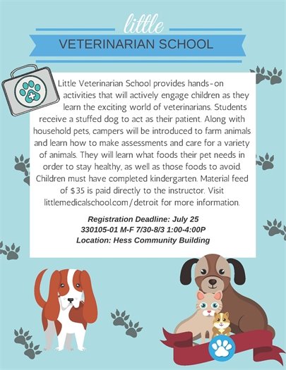 Little Veterinarian School