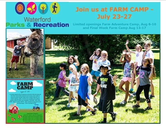 Farm Camp Last 3 Sessions