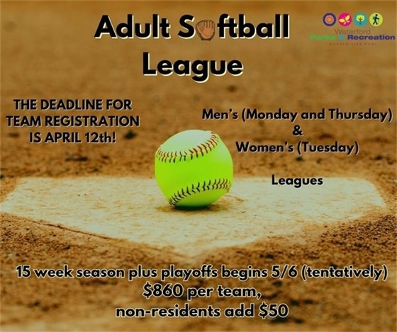 Adult Softball League