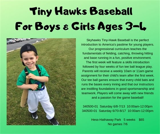 Tiny Hawks Baseballl