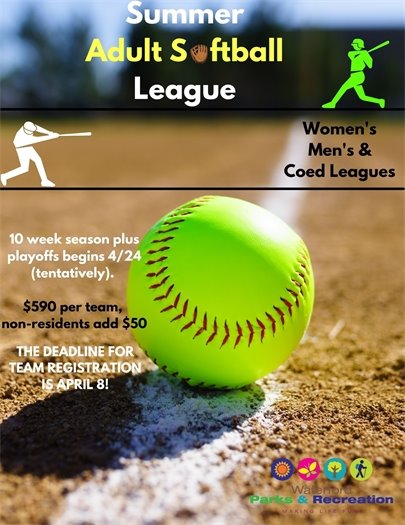 Adult Softball