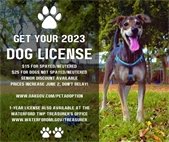 2023 dog license photo