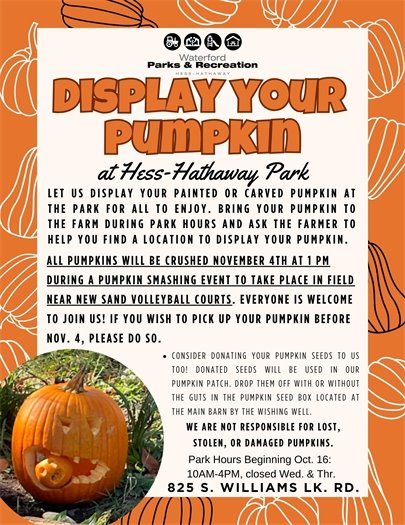 Pumpkin Display 