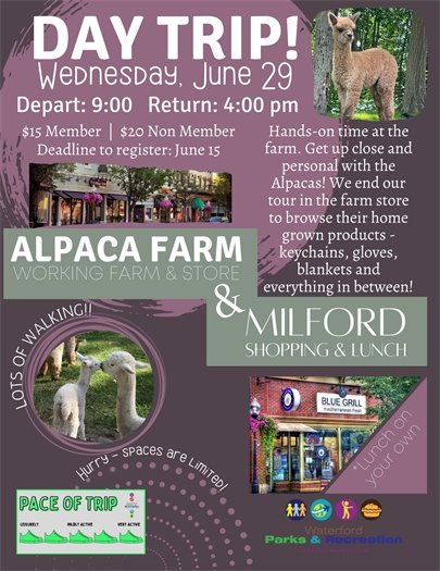 Alpaca Farm