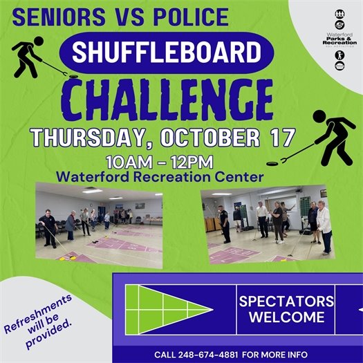 Shuffleboard Challenge