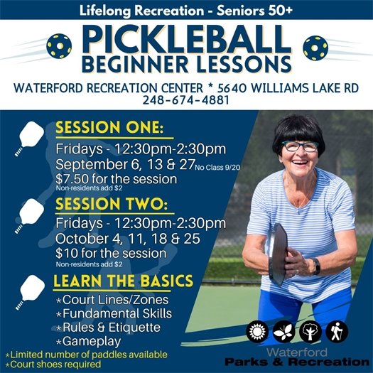 Pickelball Beginner Lessons