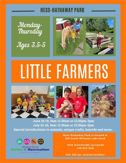 Little Farmers Camp