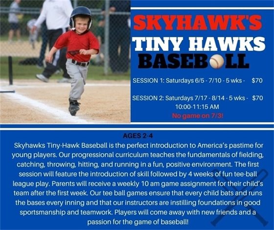 Tiny Hawks Baseball