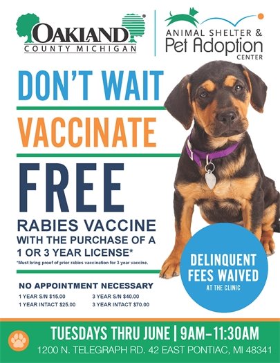 Vaccinate flyer