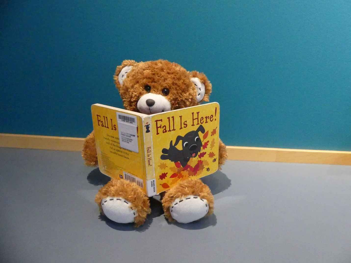 Bear reading Fall is Here 