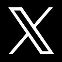 x logo